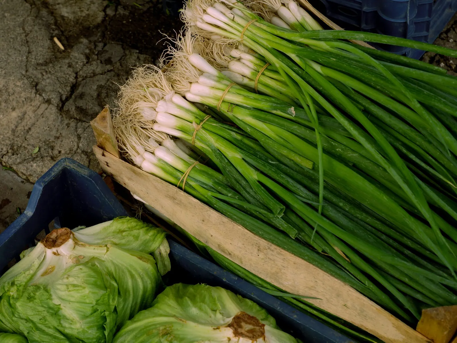 Fresh products have varying handling and temperature expectations.