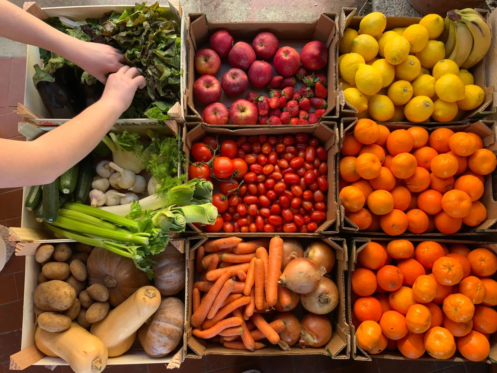 Produce condition and packaging deserve special planning.